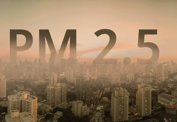รู้จักฝุ่น PM 2.5 กันให้มากขึ้น เพื่อดูแลสุขภาพได้ทันท่วงที 💨