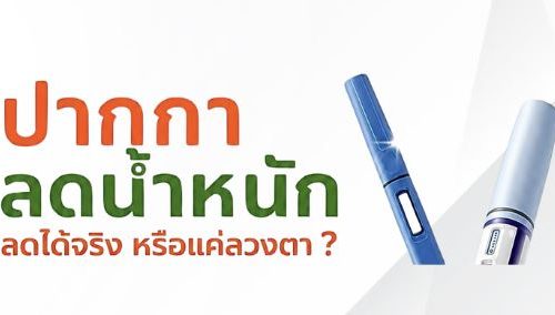 จับภาพกทเผ อยากลดน้ำหนักแบบปลอดภัย? 🖋️ มาทำความรู้จักกับ ‘ปากกาลดน้ำหนัก’
